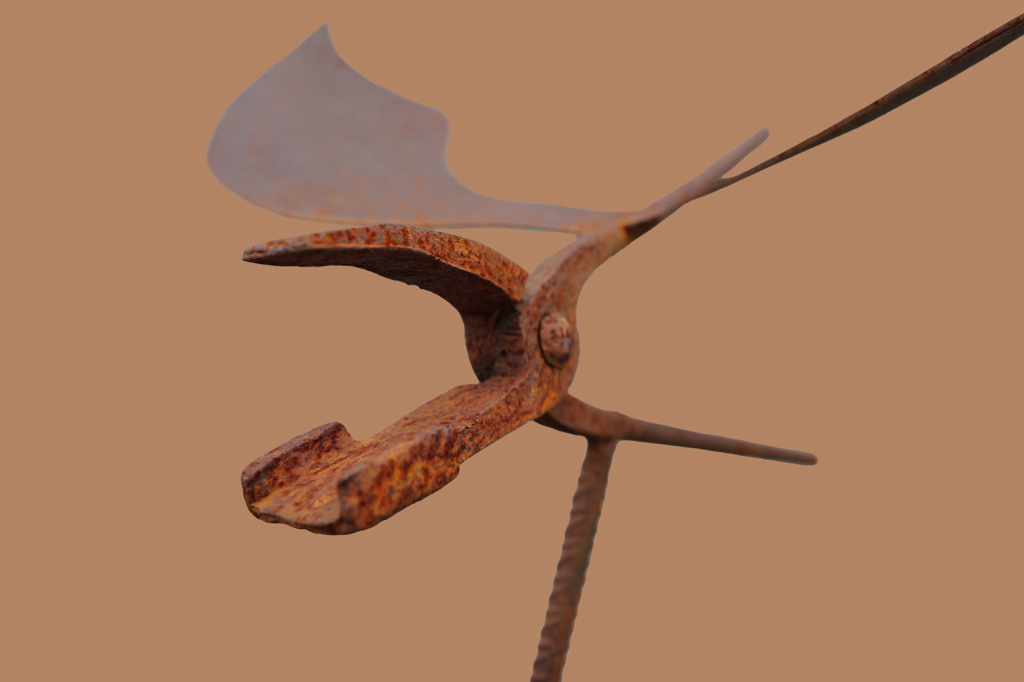 couple-oiseaux3