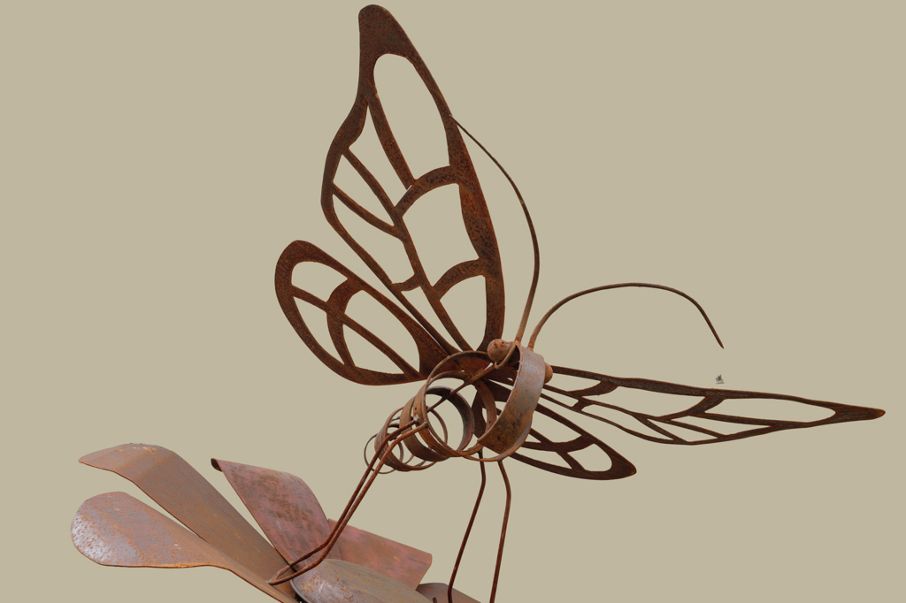 papillon-1