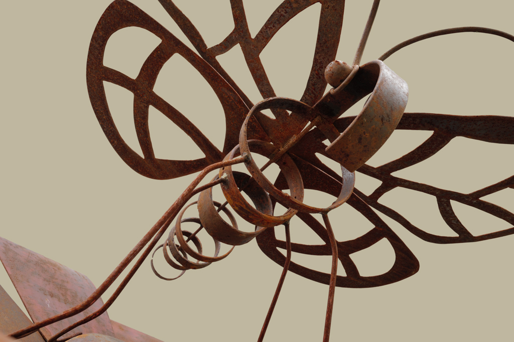 papillon-2